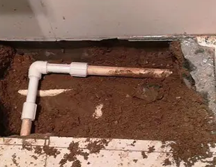 呼伦贝尔测漏水哪家好