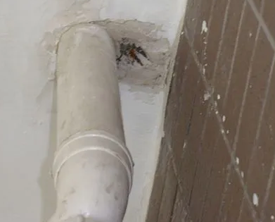 呼伦贝尔漏水检测哪家好